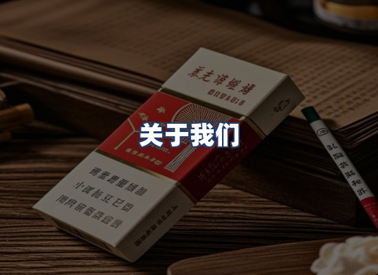 关于我们